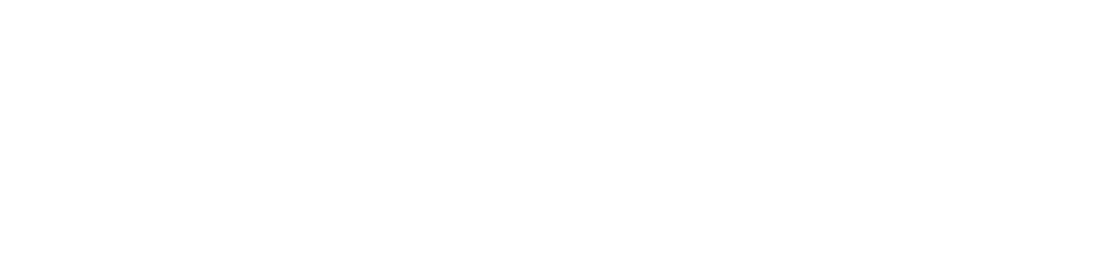 Institut Ramon Llull